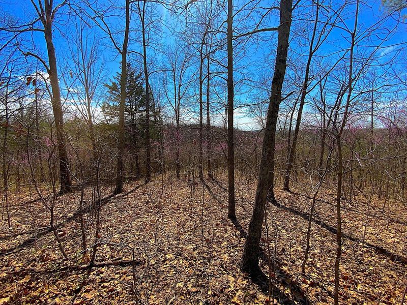 9675 State Route 554, Bidwell, OH 45614 Photo 37