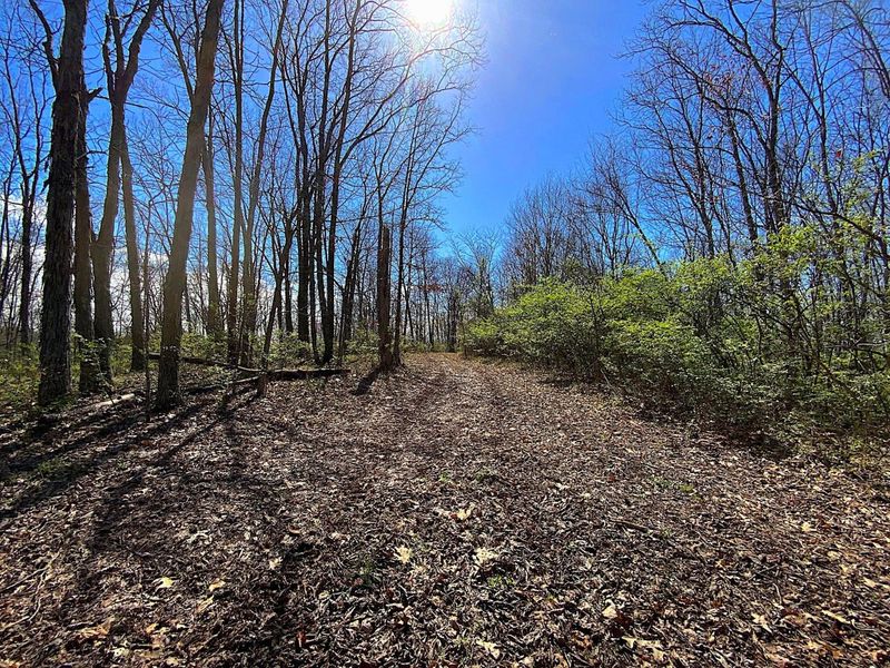 9675 State Route 554, Bidwell, OH 45614 Photo 39