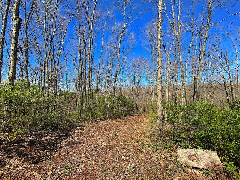 9675 State Route 554, Bidwell, OH 45614 Photo 40