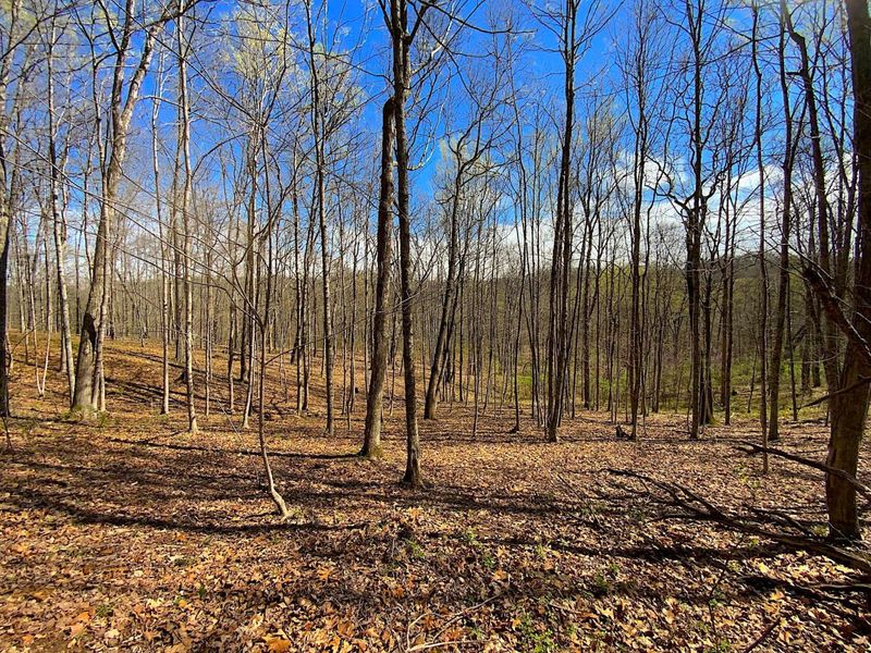 9675 State Route 554, Bidwell, OH 45614 Photo 41