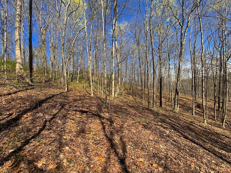 9675 State Route 554, Bidwell, OH 45614 Photo 42