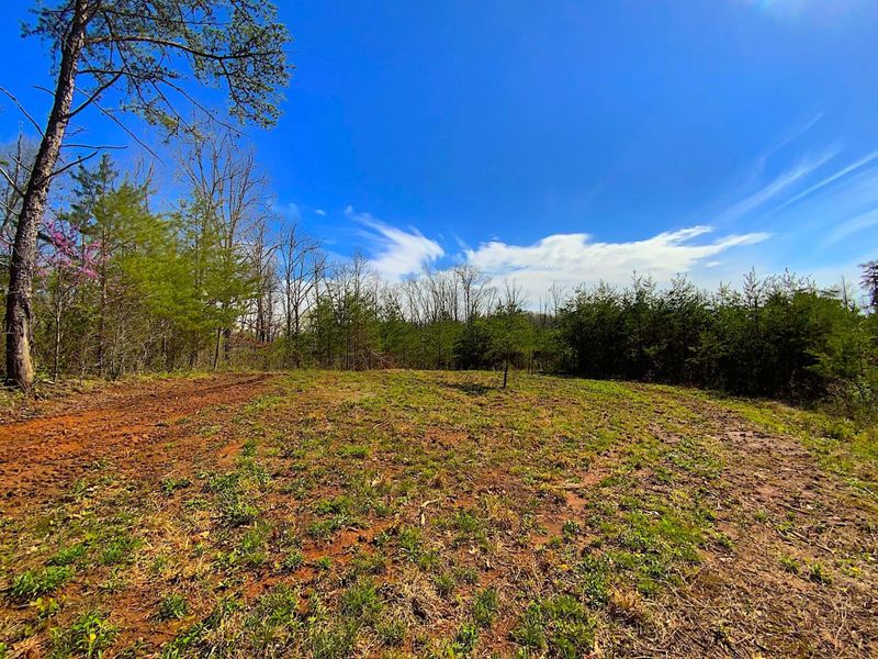 9675 State Route 554, Bidwell, OH 45614 Photo 43