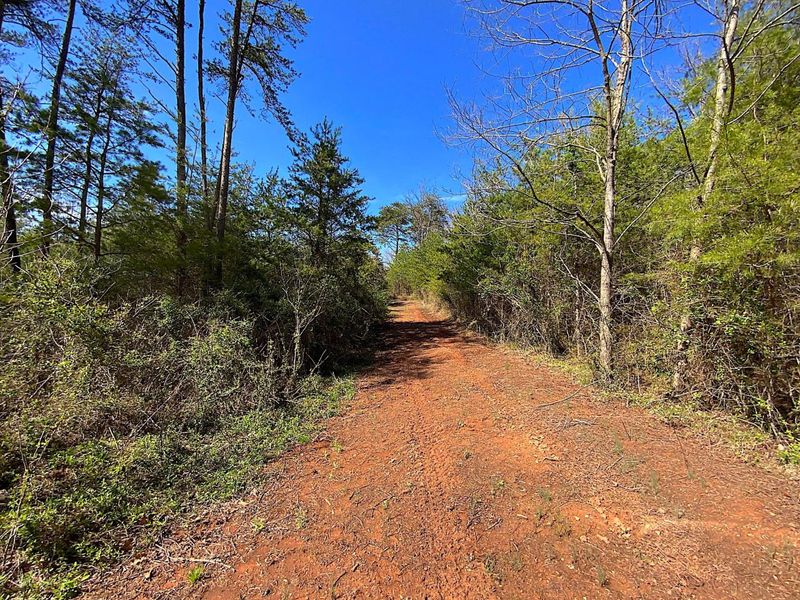 9675 State Route 554, Bidwell, OH 45614 Photo 44