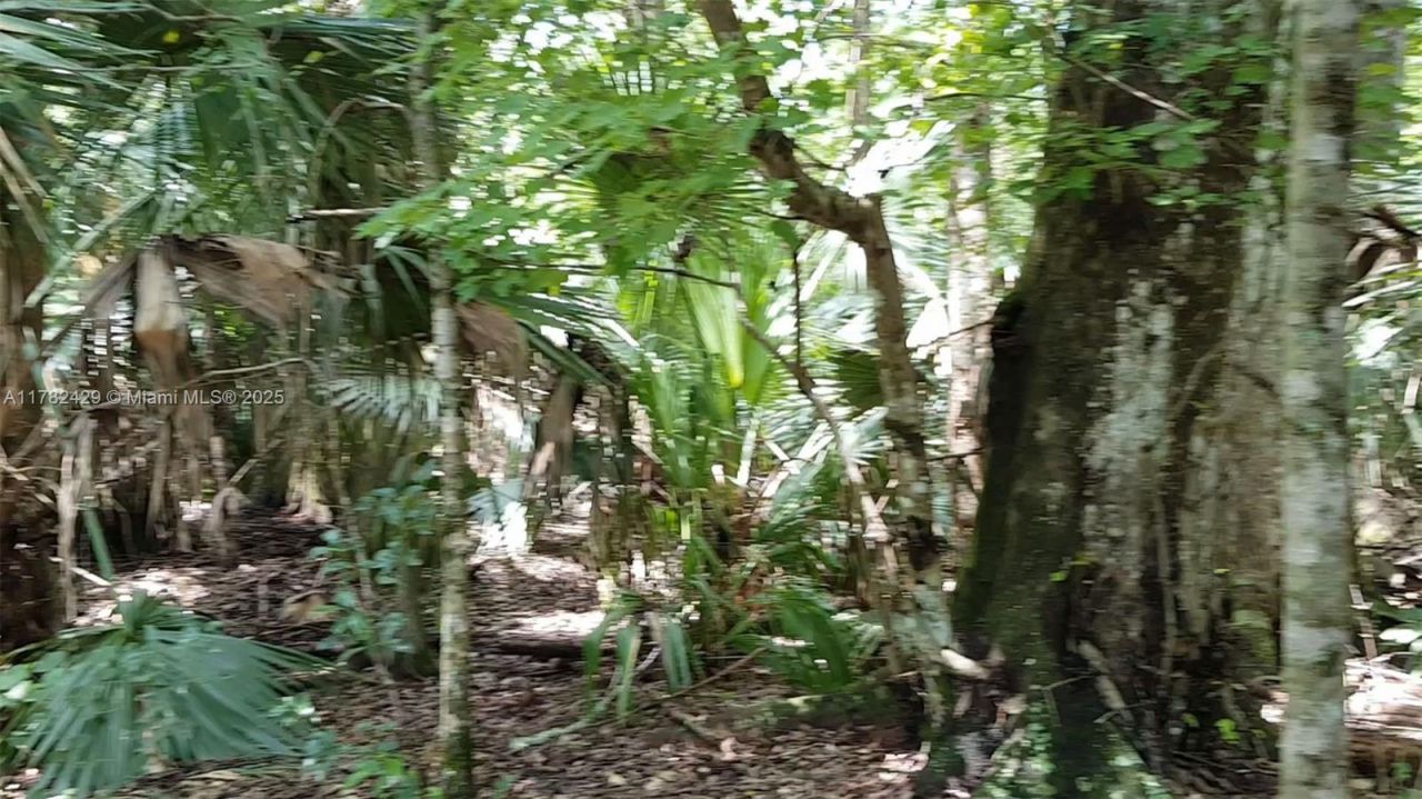 3450 SE Hwy 464c, Ocala, FL 32179 Photo