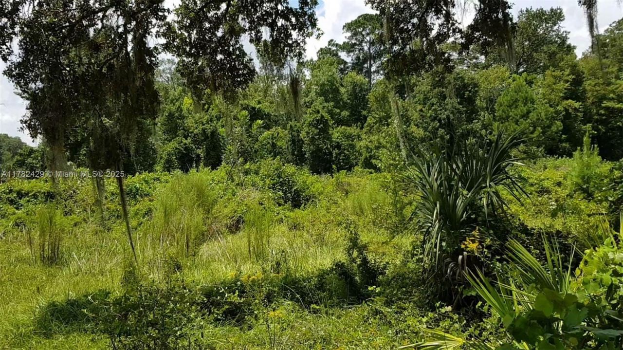 3450 SE Hwy 464c, Ocala, FL 32179 Photo