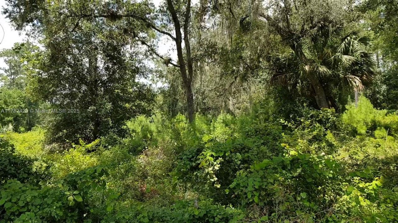 3450 SE Hwy 464c, Ocala, FL 32179 Photo