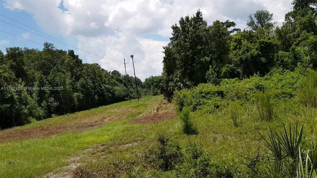 3450 SE Hwy 464c, Ocala, FL 32179 Photo