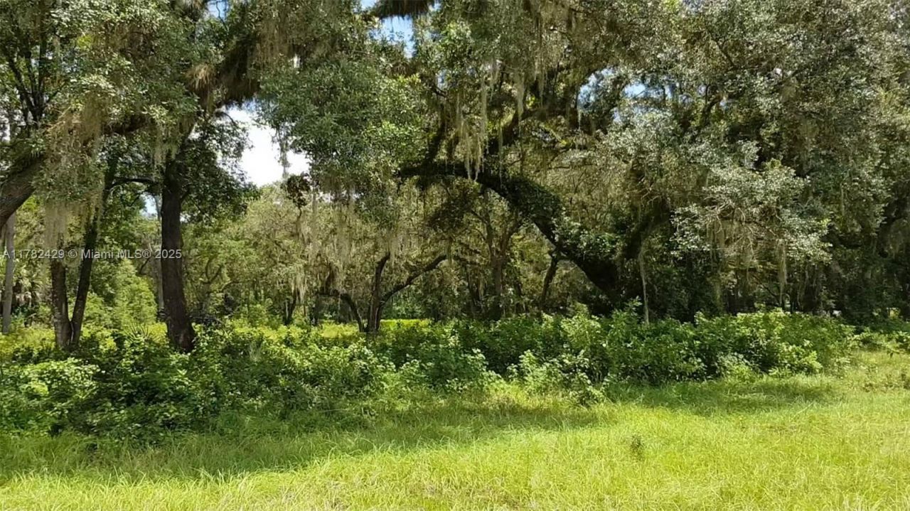 3450 SE Hwy 464c, Ocala, FL 32179 Photo