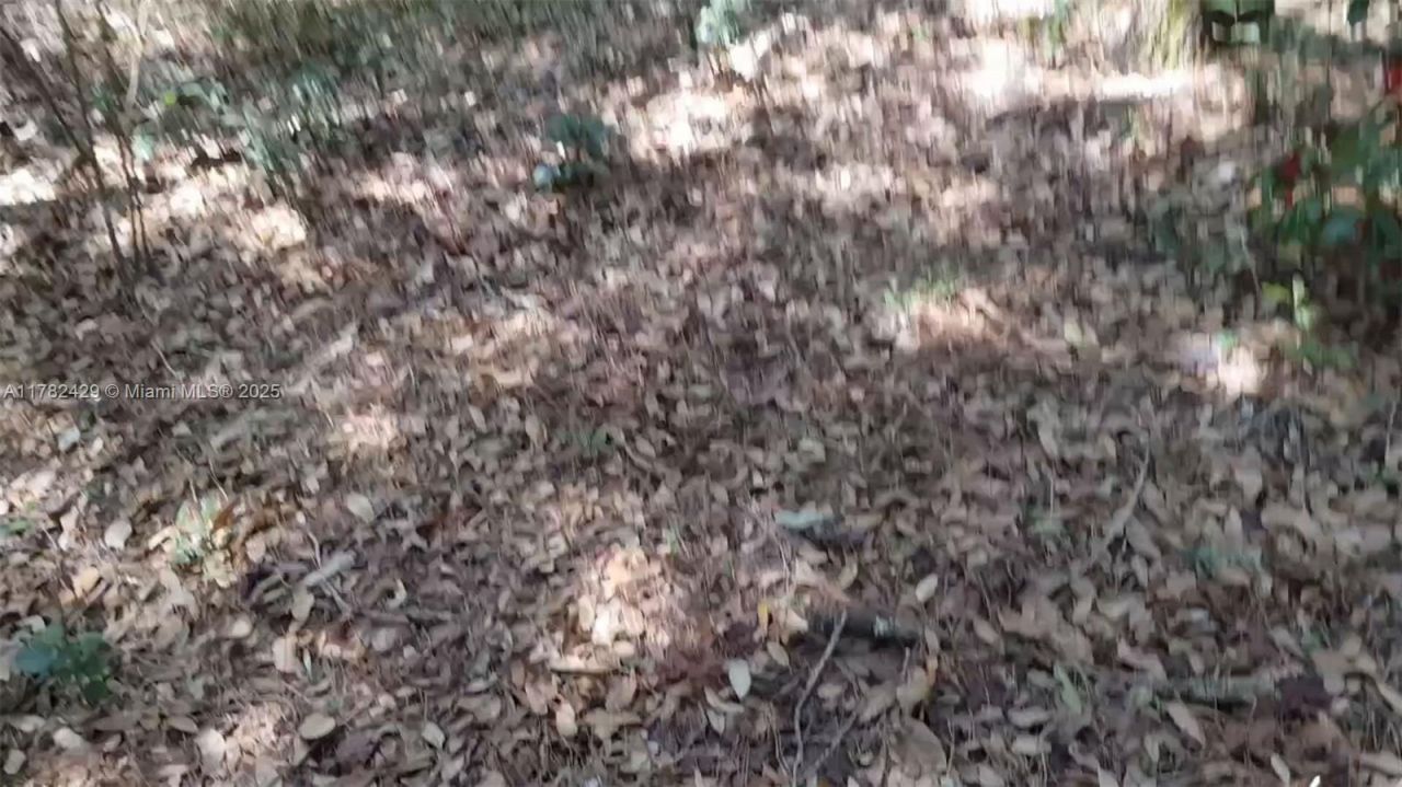 3450 SE Hwy 464c, Ocala, FL 32179 Photo