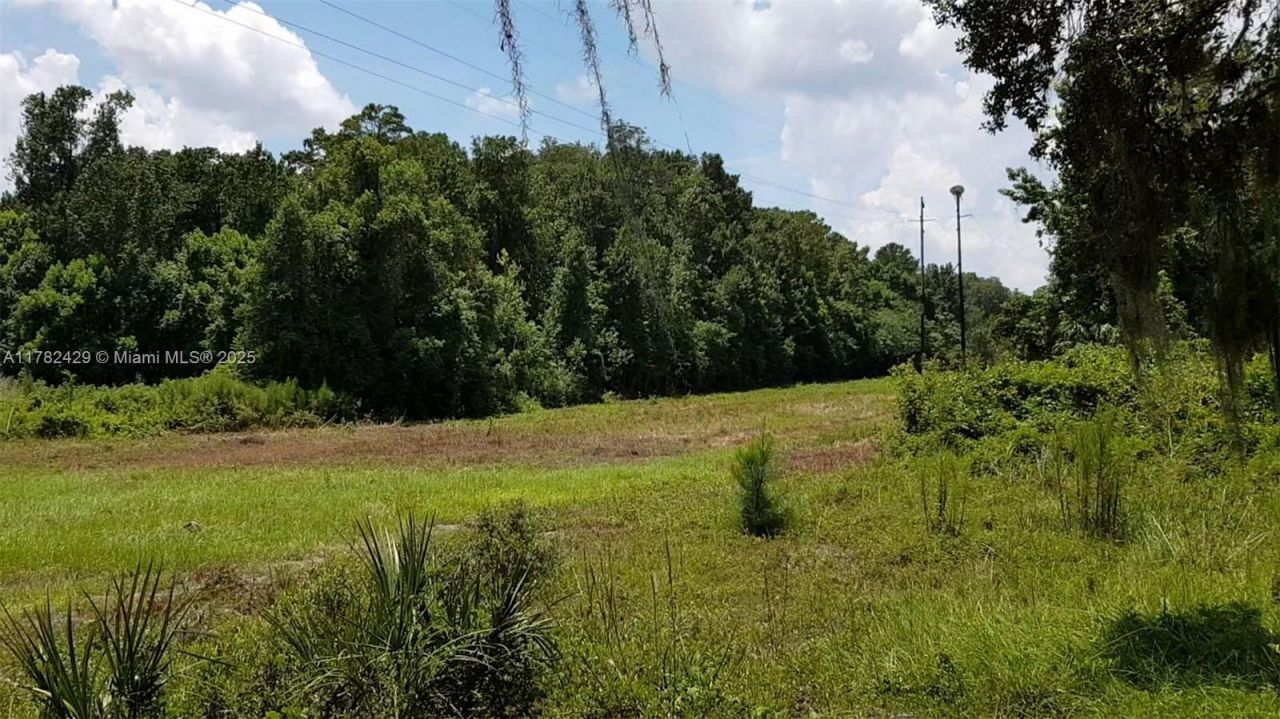 3450 SE Hwy 464c, Ocala, FL 32179 Photo