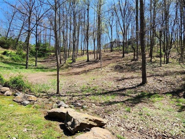 31 Sweet Fern Parkway, Asheville, NC 28804