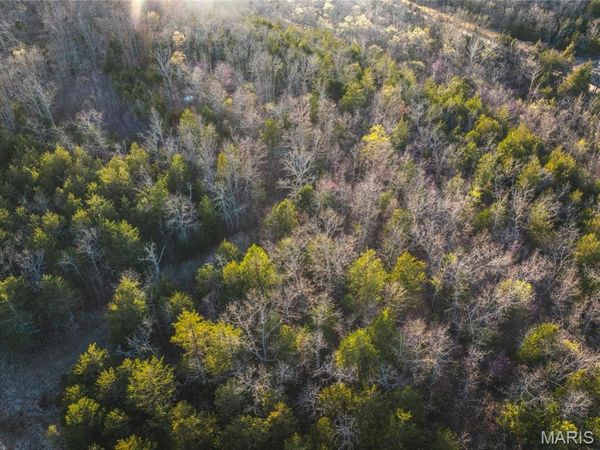 0 Sargent Road, Cabool, MO 65689