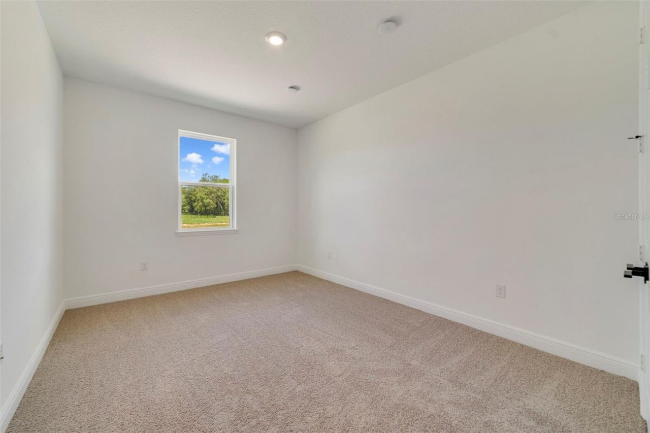 3057 Water Clover Court, Apopka, FL 32712 Photo