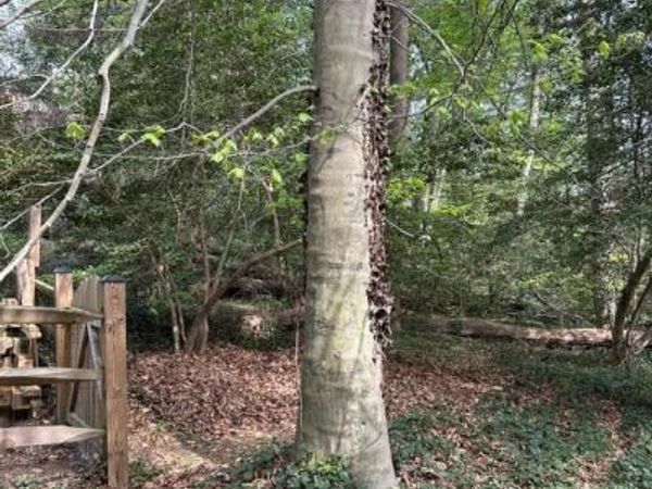 REDWOOD TRAIL, CROWNSVILLE, MD 21032