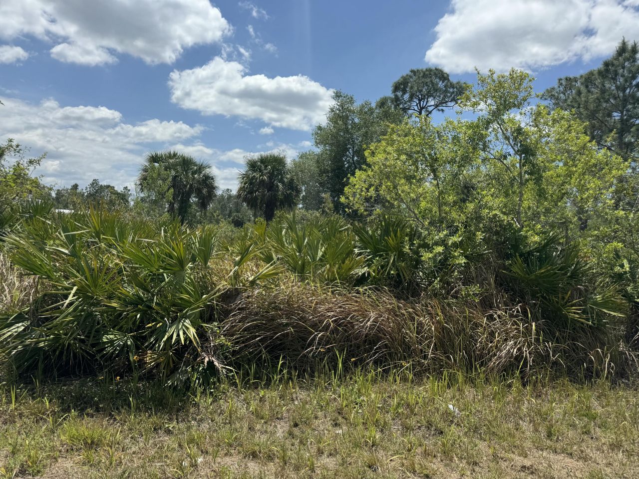 1003 W 13th Street Street, Lehigh Acres, FL 33972 Photo