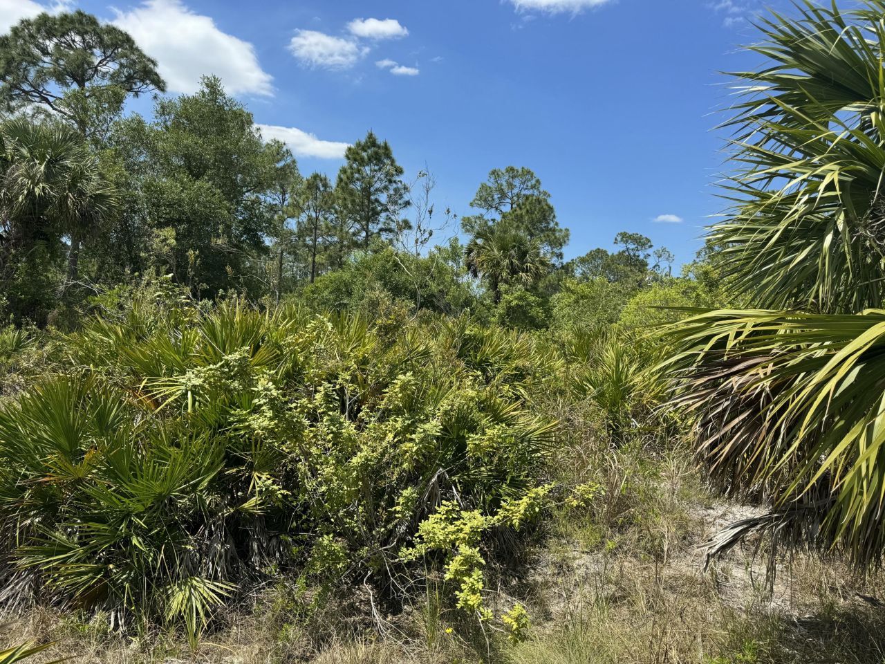 1003 W 13th Street Street, Lehigh Acres, FL 33972 Photo