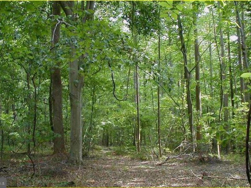 12605 Cedarville Road, Brandywine, MD 20613 Main Photo