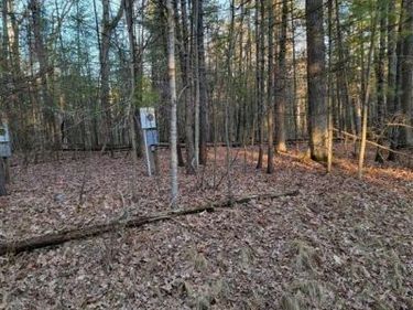 192 PRINCESS Way, Butman Twp, MI 48624