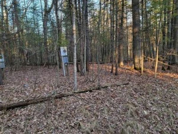 192 PRINCESS Way, Butman Twp, MI 48624