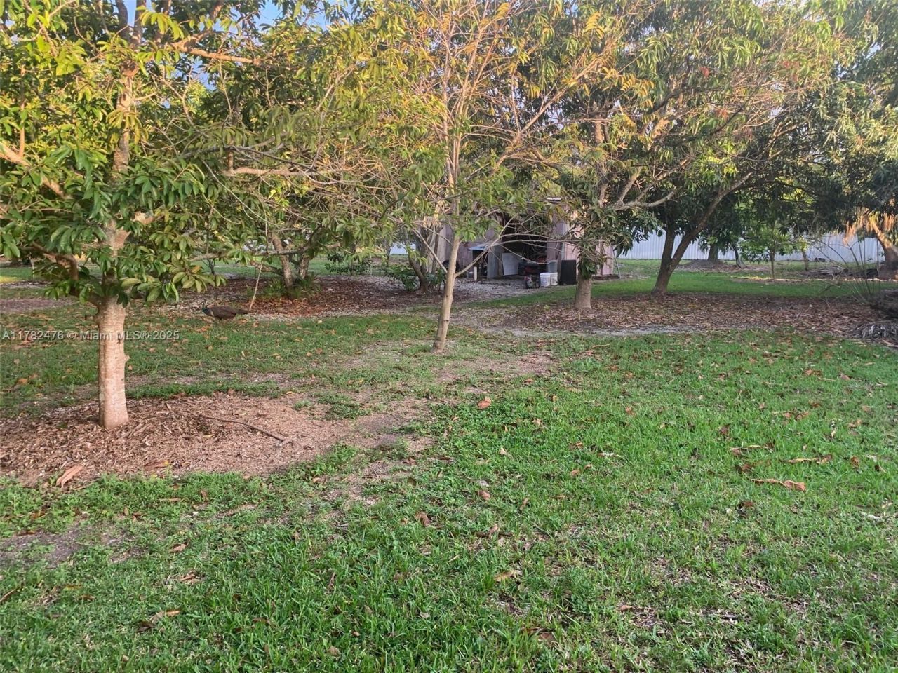 24105 SW 124th Ave, Homestead, FL 33032 Photo