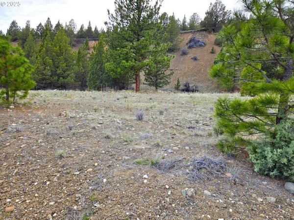 Elkview DR, Canyon City, OR 97820