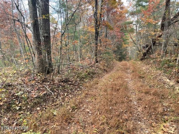 Gunter Place, Sunbright, TN 37872