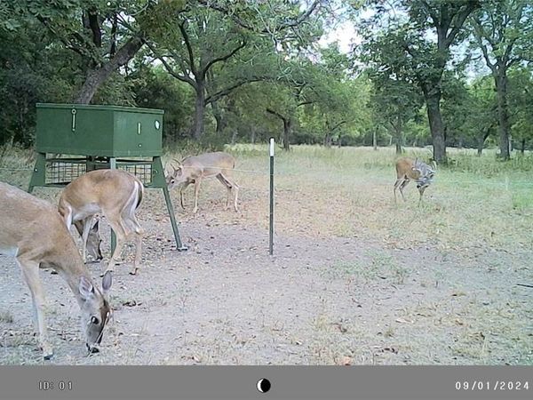 TBD Fm-1702, Gustine, TX 76455