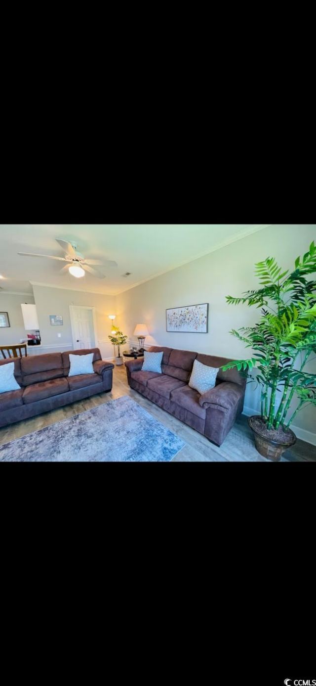 4669 Wild Iris Dr. Photo 22