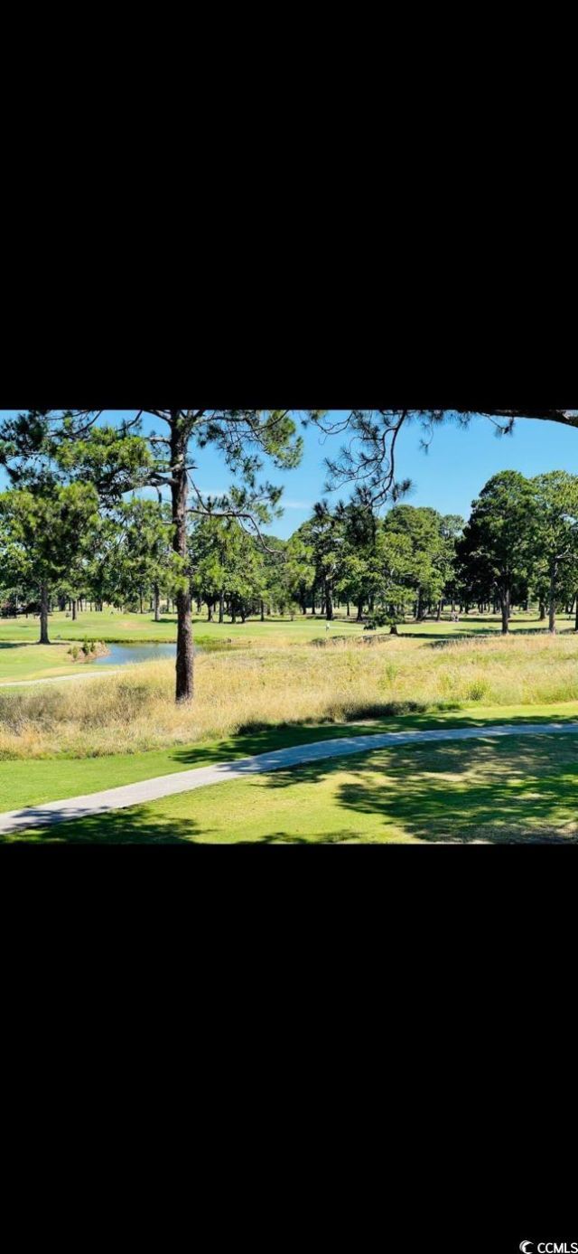 4669 Wild Iris Dr. Photo 24