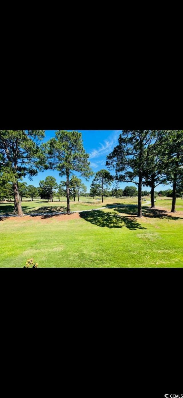 4669 Wild Iris Dr. Photo 8