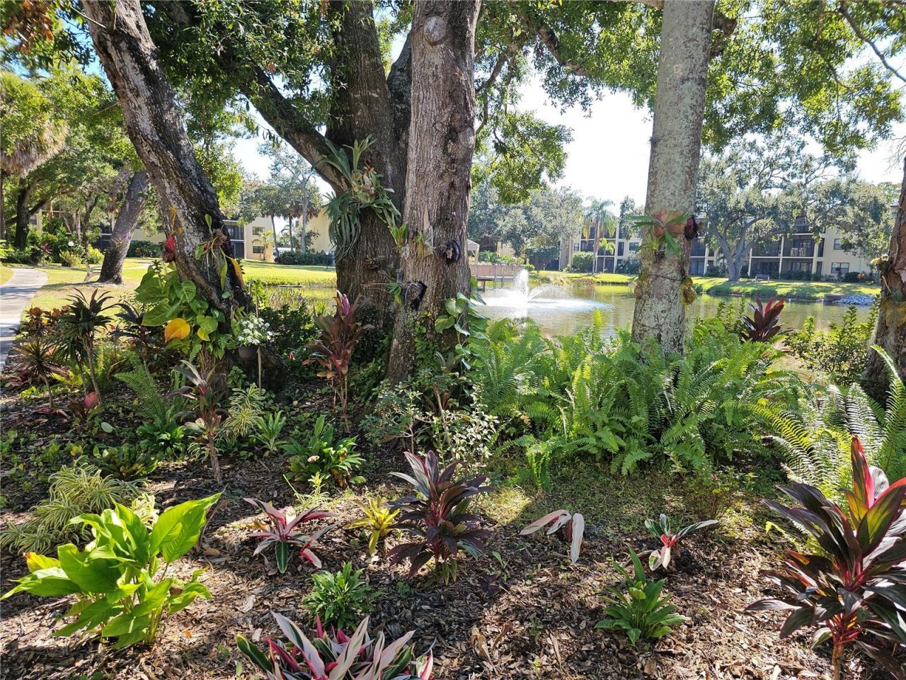 425 30th Avenue W, Unit C104, Bradenton, FL 34205 Photo