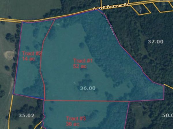 000 Tract #1 Brazil Bottom Rd , Lexington, TN 38351
