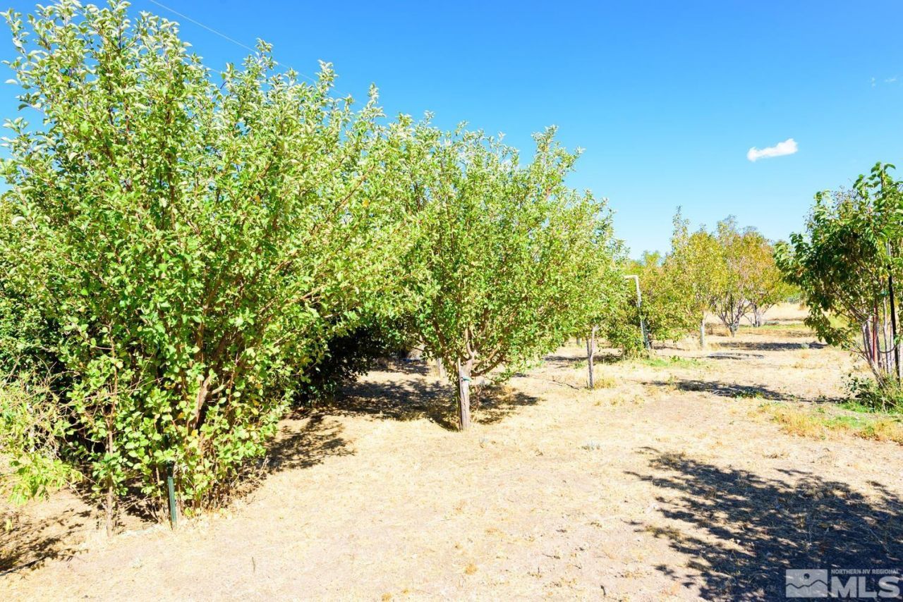 500 Clydesdale Drive, Reno, NV 89508 Photo