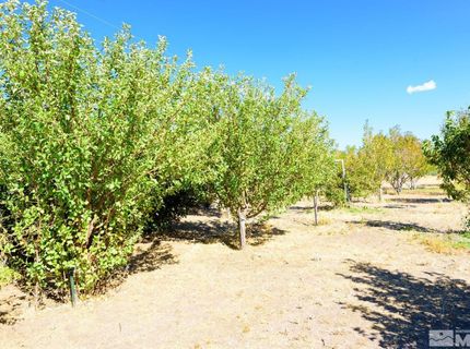 500 Clydesdale Drive, Reno, NV 89508 Photo