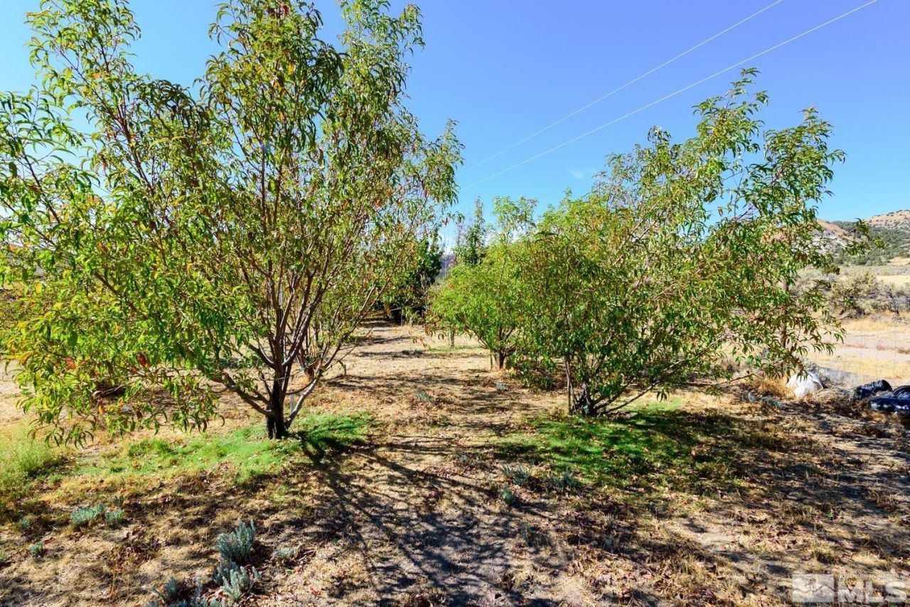 500 Clydesdale Drive, Reno, NV 89508 Photo