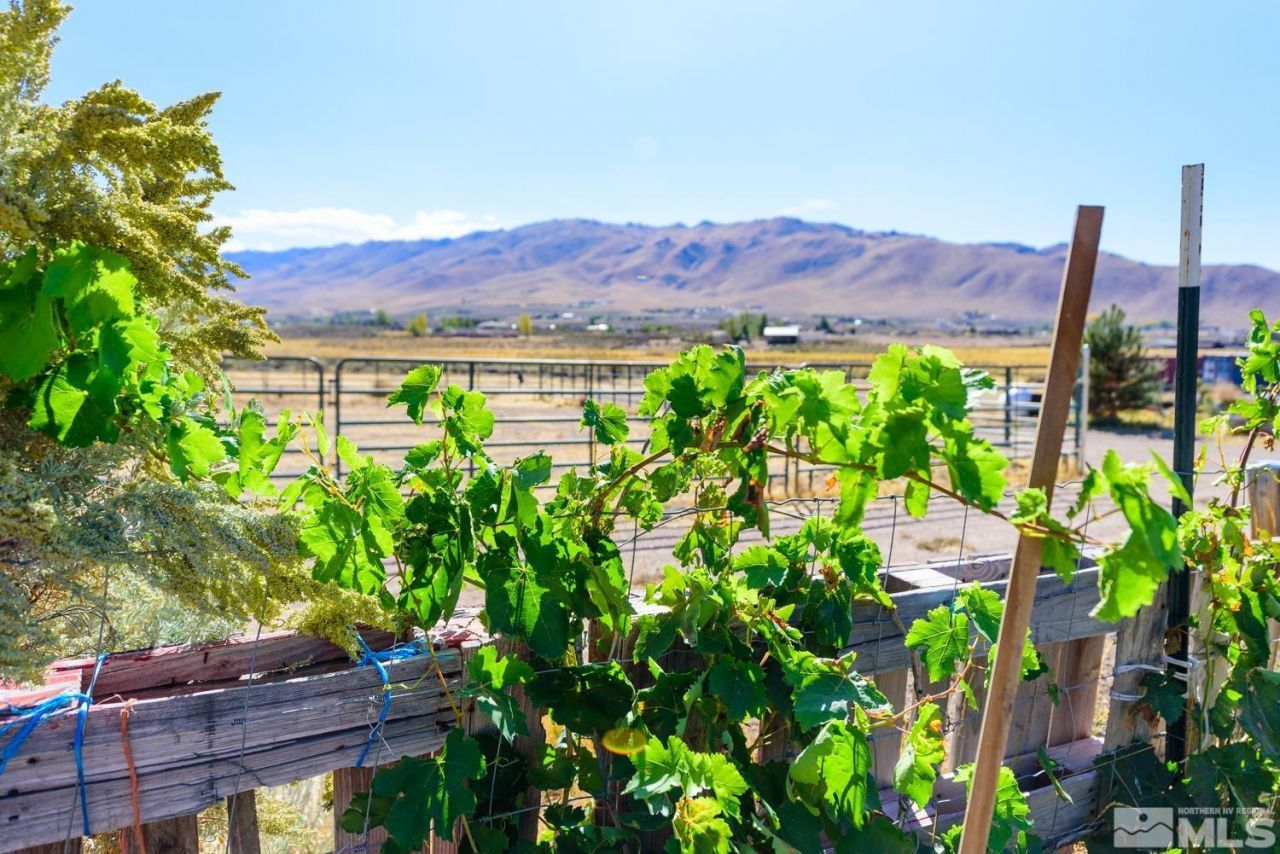 500 Clydesdale Drive, Reno, NV 89508 Photo