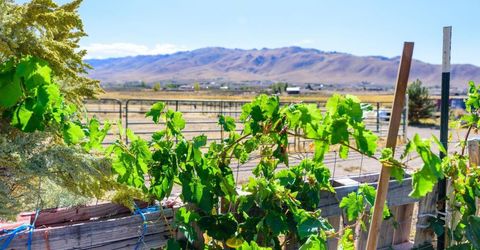 500 Clydesdale Drive, Reno, NV 89508 Photo