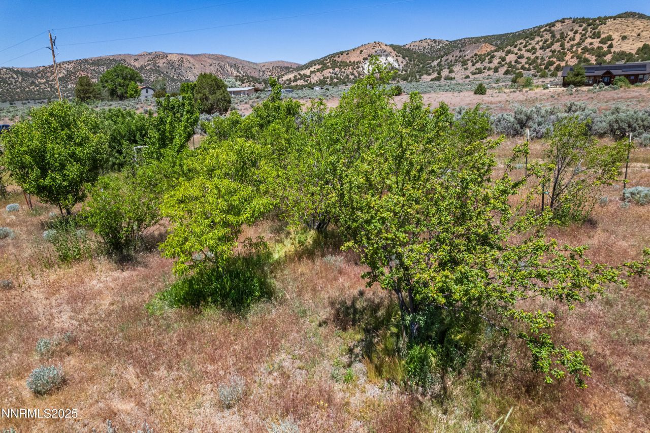 500 Clydesdale Drive, Reno, NV 89508 Photo