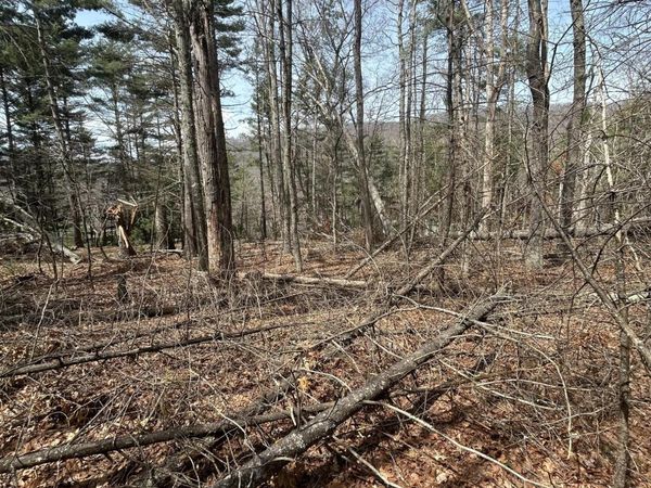 S At Rt 8, Gap Mills, WV 24941