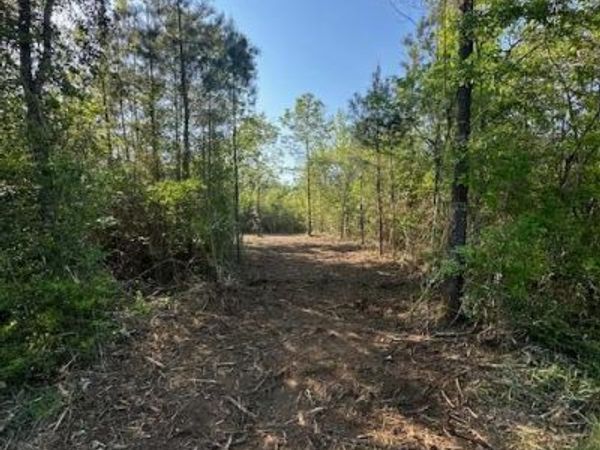 Matthews, Tylertown, MS 39667