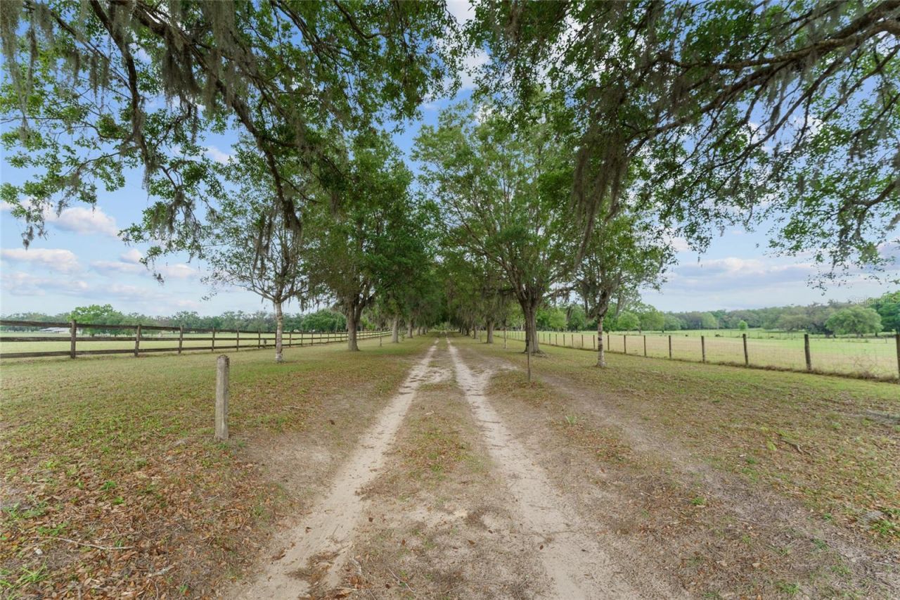 3149 SW 200th Avenue, Dunnellon, FL 34431 Photo