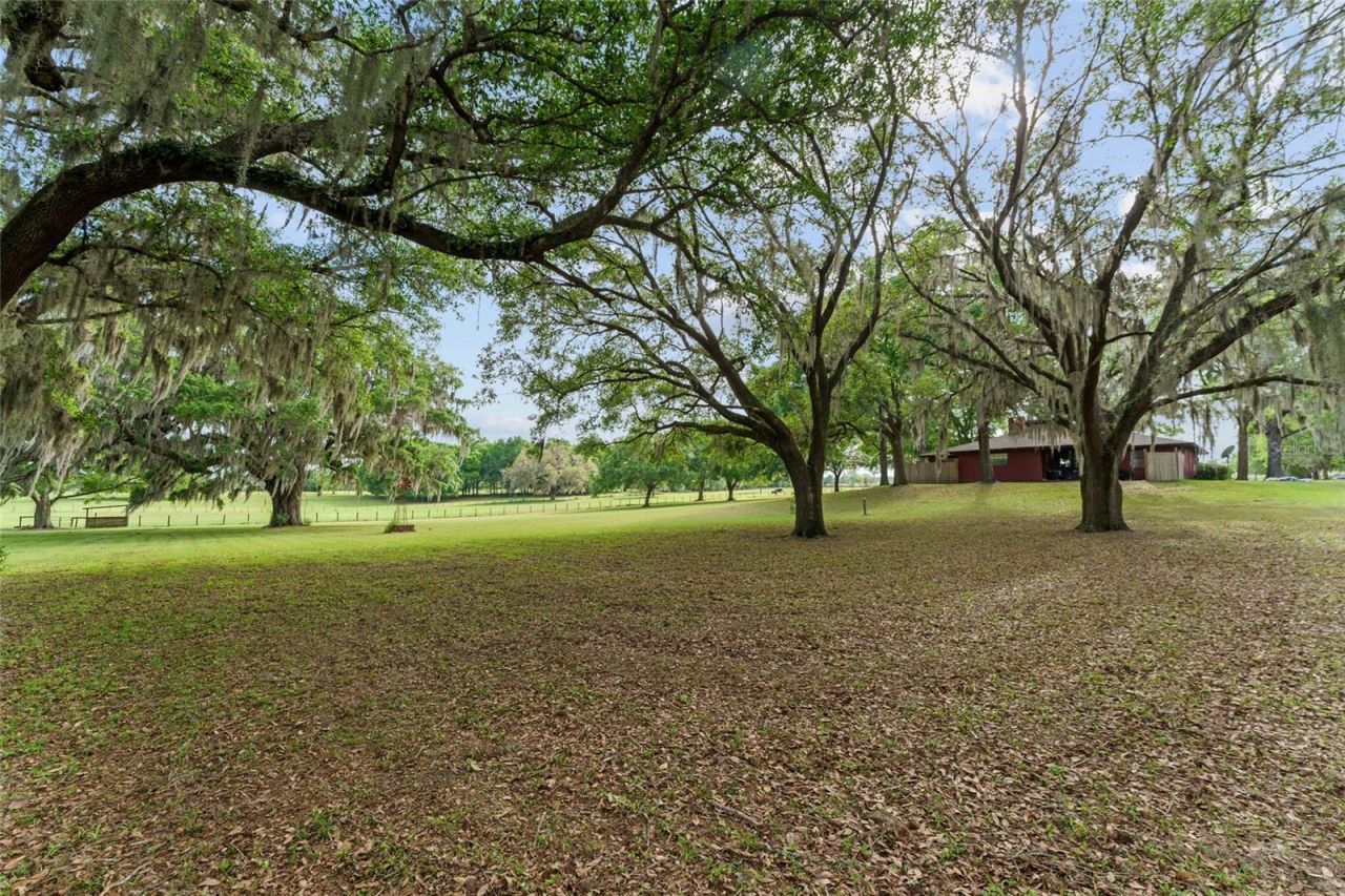 3149 SW 200th Avenue, Dunnellon, FL 34431 Photo