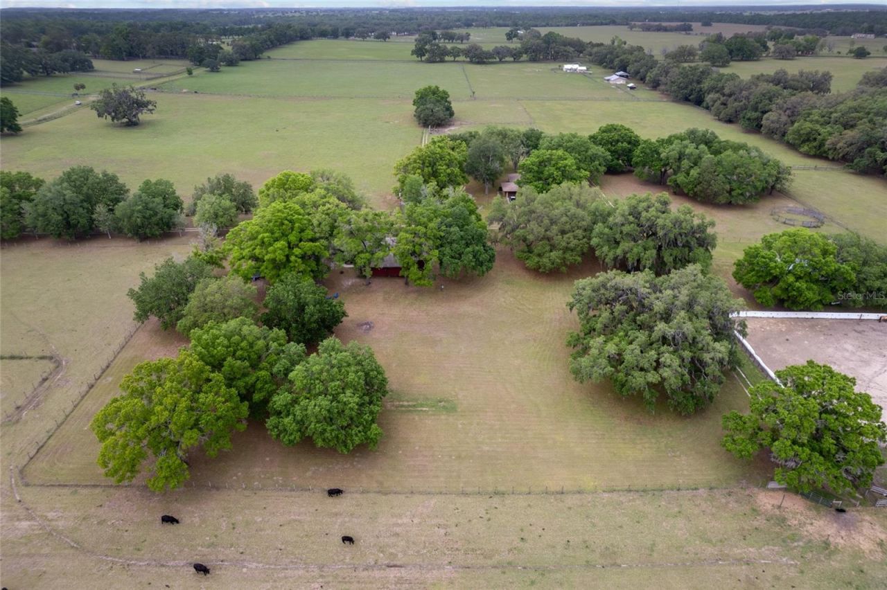 3149 SW 200th Avenue, Dunnellon, FL 34431 Photo