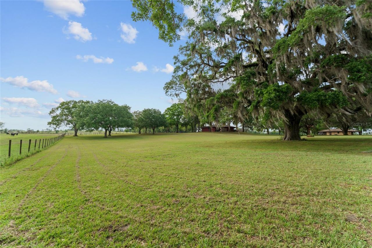 3149 SW 200th Avenue, Dunnellon, FL 34431 Photo