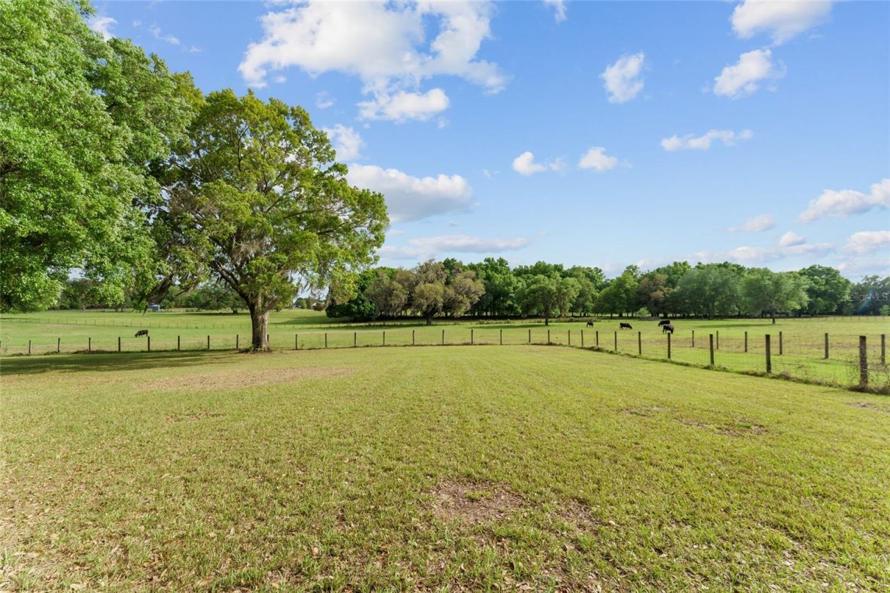 3149 SW 200th Avenue, Dunnellon, FL 34431 Photo