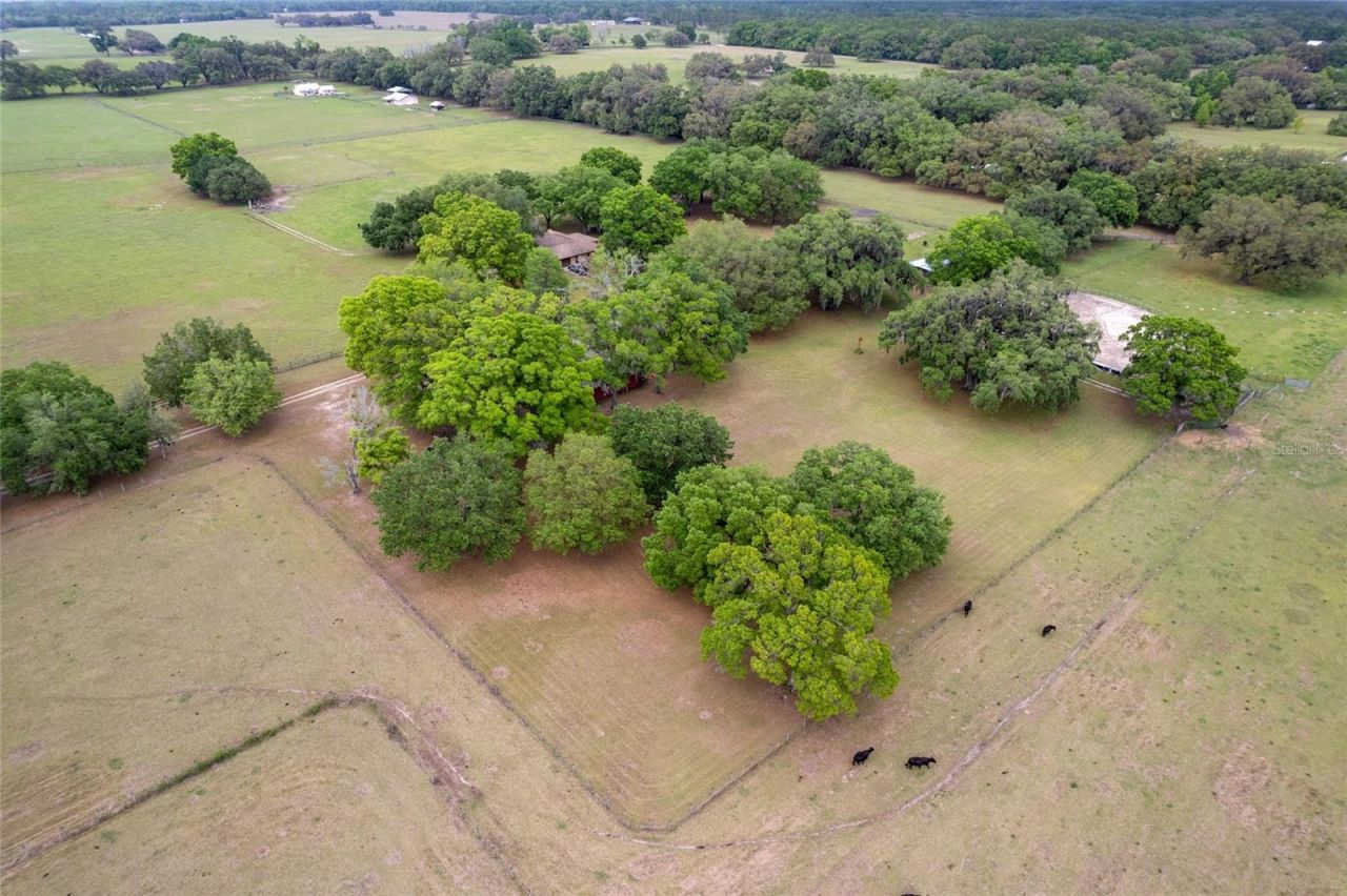 3149 SW 200th Avenue, Dunnellon, FL 34431 Photo