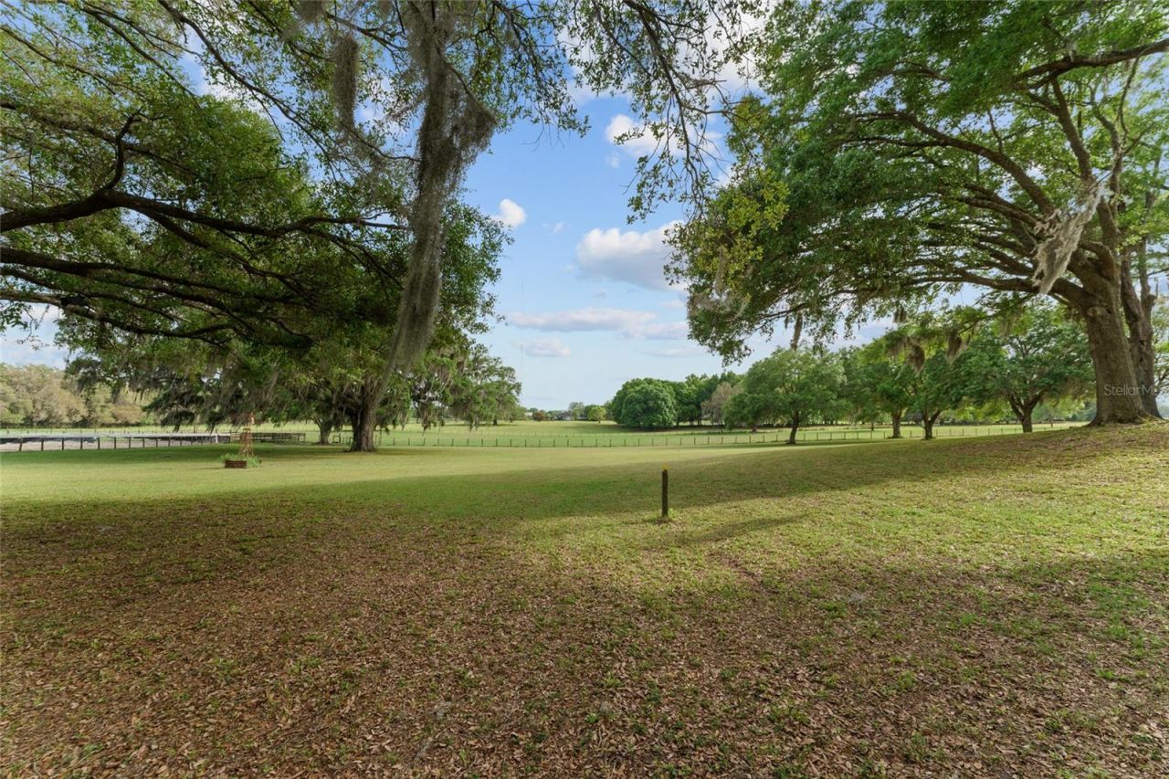 3149 SW 200th Avenue, Dunnellon, FL 34431 Photo