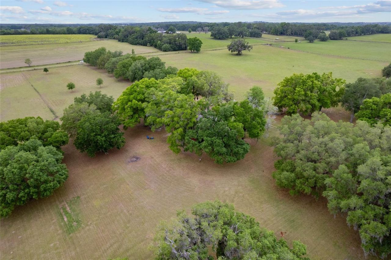 3149 SW 200th Avenue, Dunnellon, FL 34431 Photo