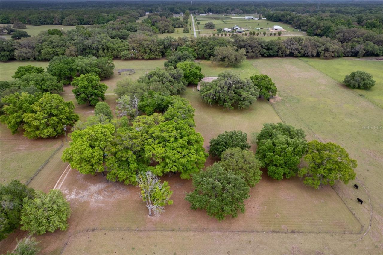 3149 SW 200th Avenue, Dunnellon, FL 34431 Photo