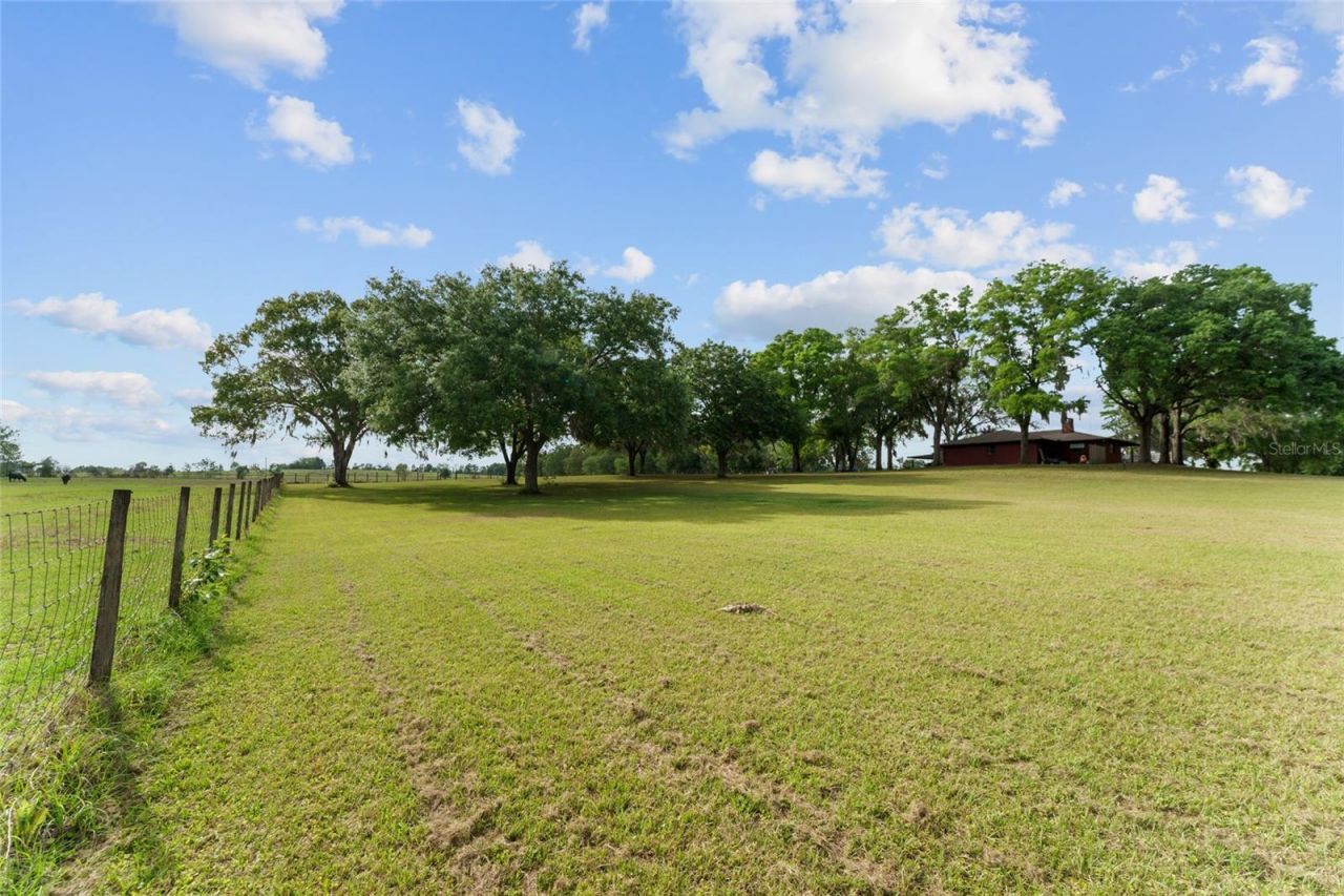 3149 SW 200th Avenue, Dunnellon, FL 34431 Photo